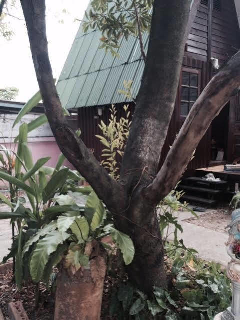 Bnr Resorts Bangkok Zewnętrze zdjęcie