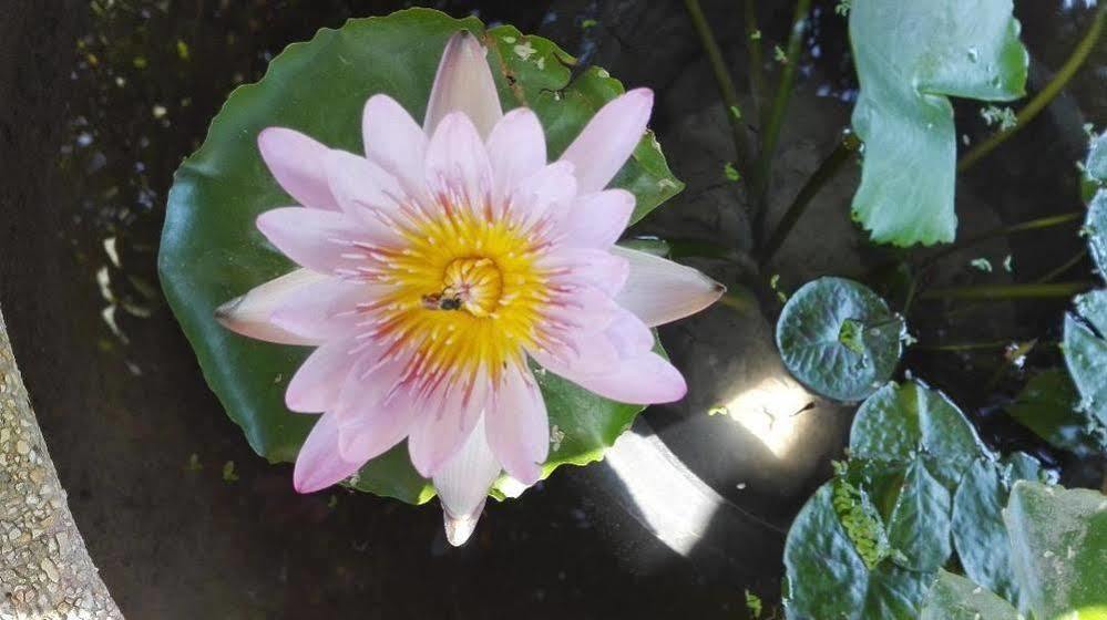 Bnr Resorts Bangkok Zewnętrze zdjęcie